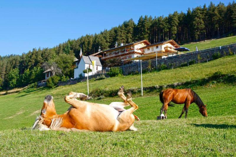Gasthaus Bad Siess Longostagno Zewnętrze zdjęcie