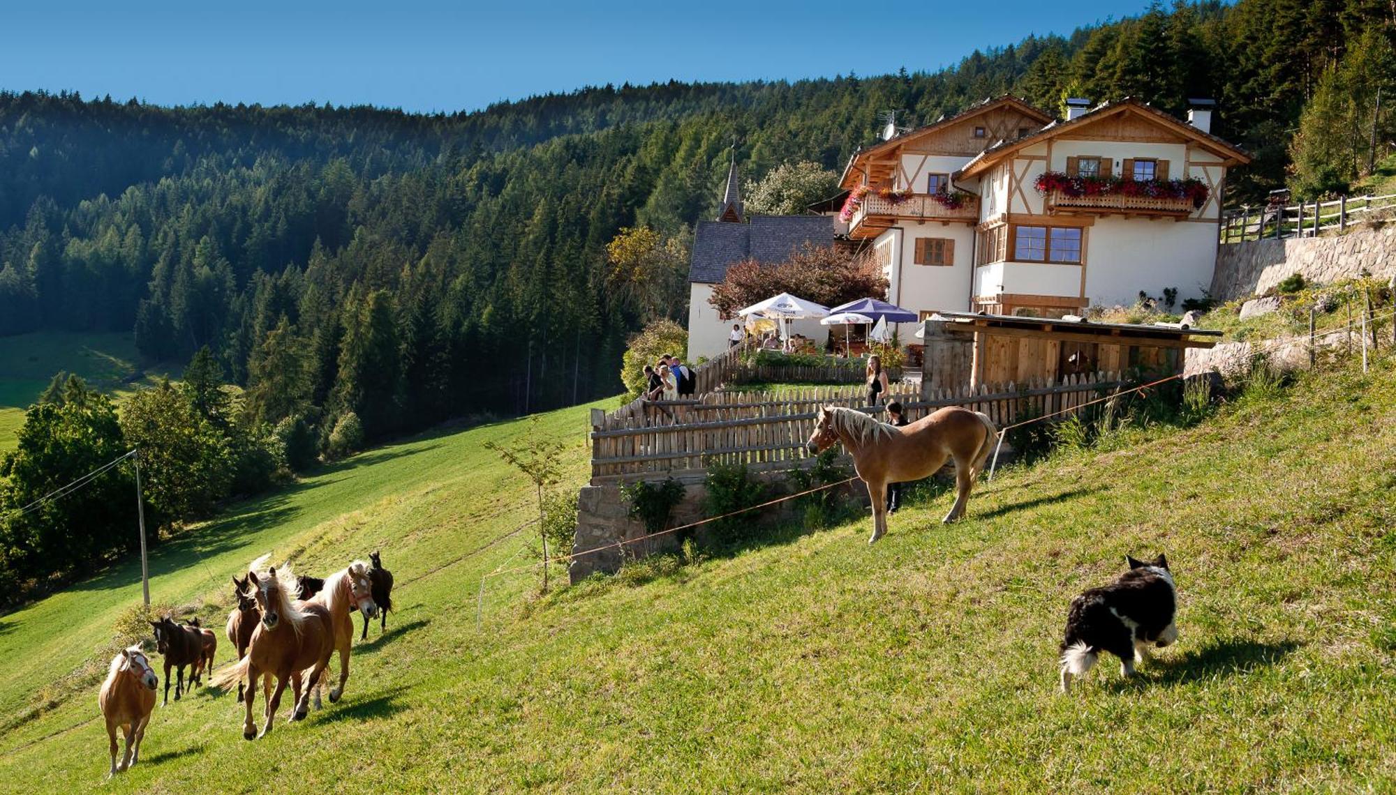 Gasthaus Bad Siess Longostagno Zewnętrze zdjęcie